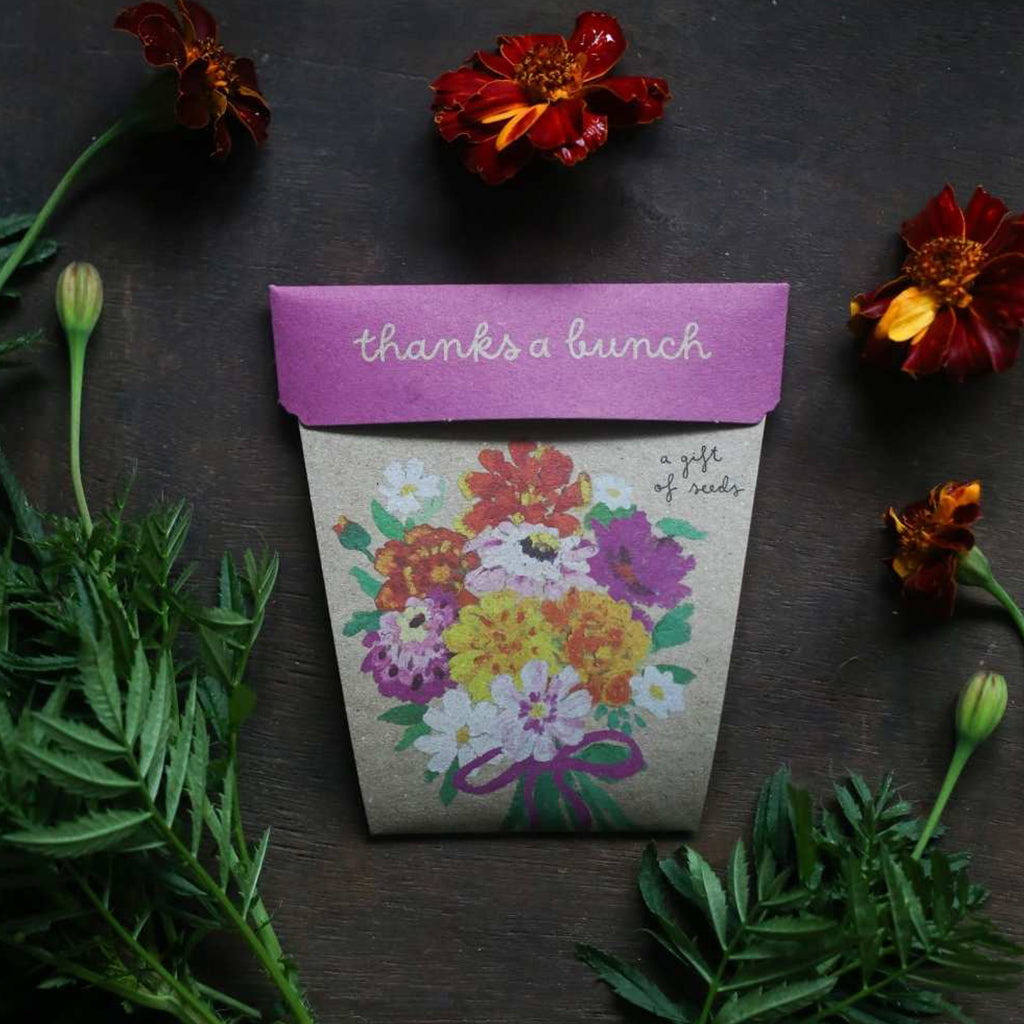 Sow n Sow Gift of Seeds Thanks a Bunch Lifestyle Image