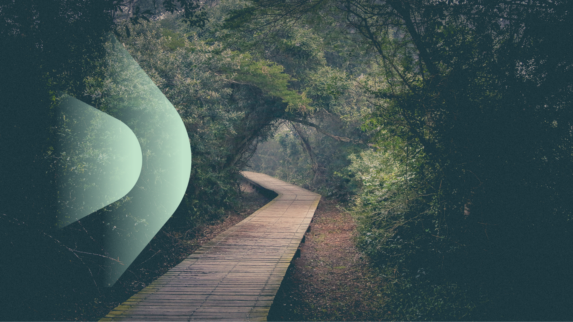 Essence Dispensary: A natural path forward, together