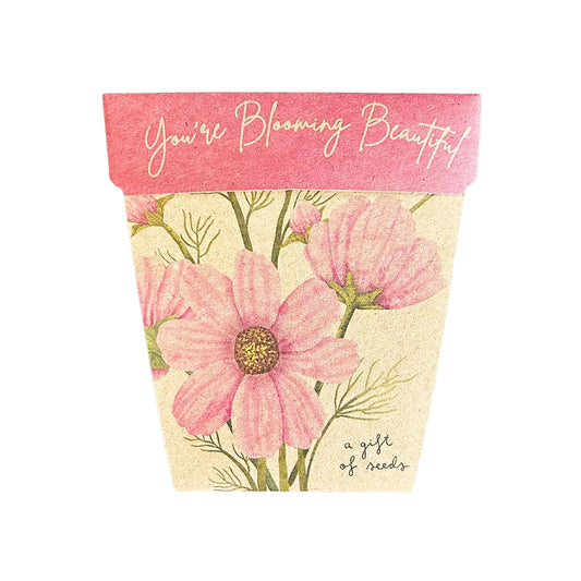 Gift of Seeds - Blooming Beautiful
