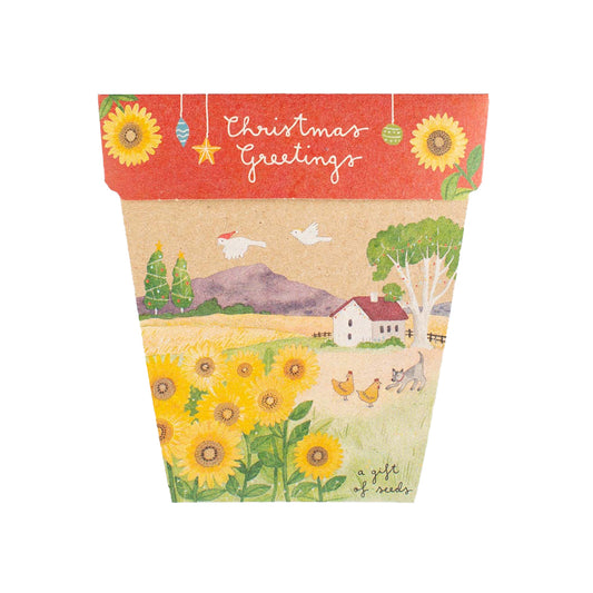 Sow n Sow Gift of Seeds Christmas Sunflower pack