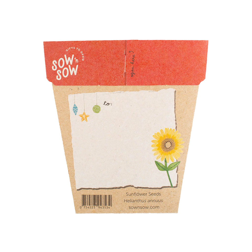 Sow n Sow Gift of Seeds Christmas Sunflower back view