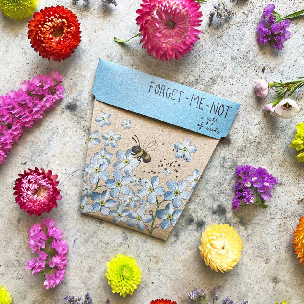 Sow n Sow Gift of Seeds Forget me not Lifestyle Image
